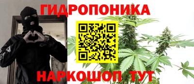 PSILOCYBIN Заволжье