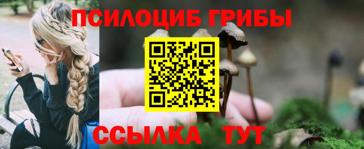 Псилоцибиновые грибы мухоморы  Вход с VPN  Михайловка 